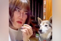 『コンビ結成何年目ですか？』犬のオヤツを食べる女性→お笑い芸人顔負けな『掛け合い』が119万再生「どう見ても台本ありｗｗ」「おもろすぎ」