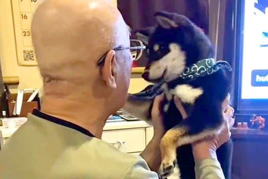 病気が発覚した『犬好きのお父さん』→家族みんなで闘病して…涙腺崩壊する『亡くなるまでの記録』に反響「今も見守ってる」「思い出は覚えてる」