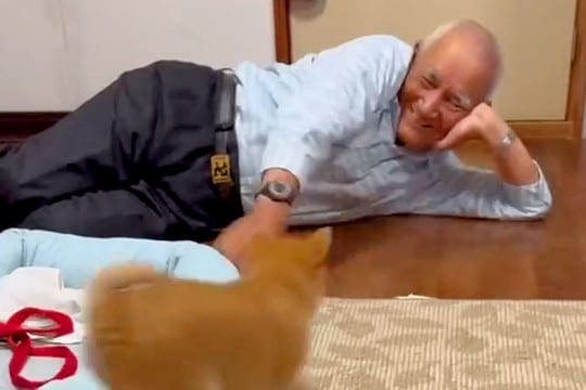 おじいちゃんが『小さな子犬』と初めて会った結果→互いにテンションが上がり…ずっと見ていたいやり取りに反響「おじいちゃんの方が面白くてw」