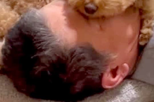 『息できてる?』寝ているパパの布団に、犬が乗ってきて…思わず心配してしまう『まさかの光景』が123万再生「固定してるw」「大きな目隠し」