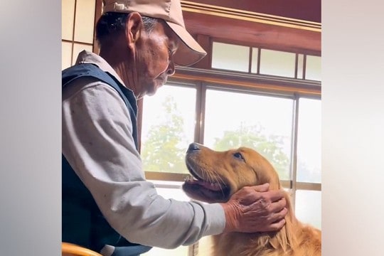 『大好きなおじいちゃん』と会った犬→嬉しくて飛びかかると思いきや…優しさに溢れた『尊い光景』が21万再生「平和な時間」「愛しかない」