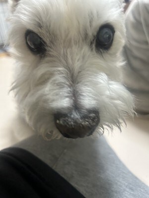 ちーちゃん