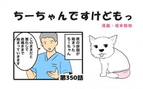 ちーちゃんですけどもっ【第350話】「人も犬も自立神経が大事」