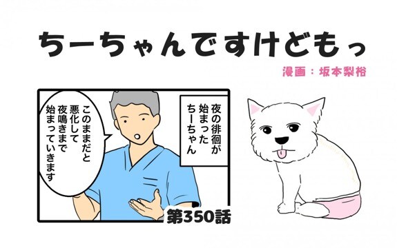 ちーちゃんですけどもっ【第350話】「人も犬も自立神経が大事」