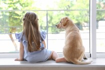 犬が『お気に入りの場所』ばかりで過ごす理由5選　習性を理解して信頼関係を深めよう