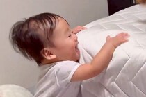 爆笑する赤ちゃん→ベッドの上に『犬』が乗っかって…人間顔負けな『育児のプロすぎる光景』に3万いいね「ほんまにすごい」「頭良すぎる」と称賛