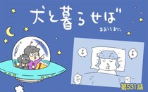 犬と暮らせば【第531話】「真夜中のプリズム」
