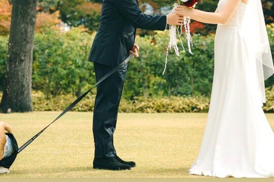 結婚式のデータが届いたので写真を確認→犬も一緒に写っていて…『まさかの光景』が98万表示「決定的瞬間で草」「温度差が面白すぎるww」