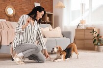 犬の『褒めるしつけ』ってどのようにすればいいの？成功させるための3つのステップを解説