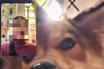 10日間の旅行中、留守番している犬とテレビ電話をした結果→『寂しがっているかな』と思いきや…まさかの反応に爆笑「楽しかったのかなｗ」