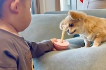 1歳の男の子が『犬のオヤツを取ろうとした』結果→怒るかと思いきや…『まさかの対応』に称賛の声「さすがお姉さん！」「ふたりともいい子」