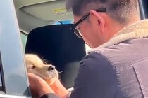 犬が亡くなり、毎日泣いていた父→内緒で『子犬』を迎えた結果…思わず涙が溢れる『宝物のような光景』が51万再生「泣いた…」「素敵な家族」