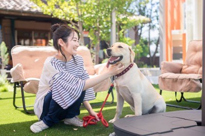 屋外で犬に触れる女性