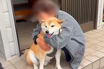 3年間、ご近所のおばあちゃん家に通い続けた犬たち…思わず泣けてくる『かけがえのない光景』が64万再生「まるで孫…心が暖かくなる」「素敵」