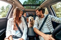 犬と『ドライブ』するときのタブー行為5選　重大なトラブルを招くことも…