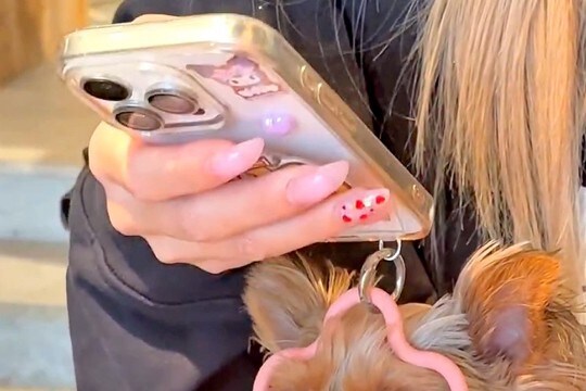 スマホにストラップをつけた結果→なぜか犬が頭を突っ込んで…想定外だった『まさかの使い方』に8万いいね「フィット感がww」「可愛すぎる」