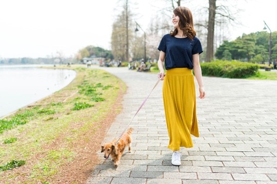 犬を退屈させない『5つの散歩方法』飽きずに満足させるために押さえておきたいポイントまで