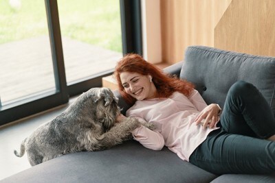 グレーの犬と女性