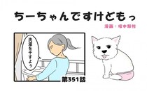 ちーちゃんですけどもっ【第351話】「何見てももう可愛い」