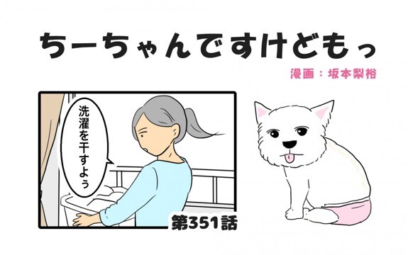 ちーちゃんですけどもっ【第351話】「何見てももう可愛い」
