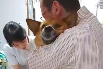 『爪を切られているだけです』病院に爪切りをしにきた犬→まるで『この世の終わり』かのような叫びが36万再生「人間の雄叫びｗ」「頑張った」