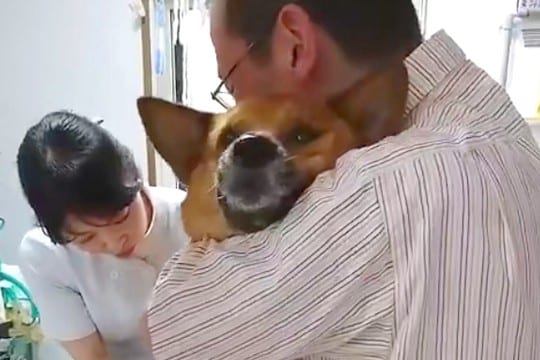 『爪を切られているだけです』病院に爪切りをしにきた犬→まるで『この世の終わり』かのような叫びが36万再生「人間の雄叫びw」「頑張った」