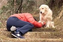 散歩中、大型犬の飼い主が『倒れたフリ』をした結果→必死に起こそうとして…思わず涙する『健気な行動』に反響「一生懸命助けようと…」「感動」