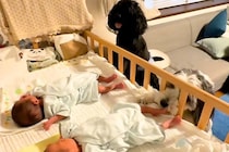 『双子の赤ちゃん』が産まれたら、犬たちが興味津々になって…可愛いが渋滞している『見守り隊』に反響「なんて微笑ましい」「みんな可愛すぎ」