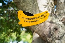 犬との散歩で『知っておくべきマナー』とは？飼い主が絶対やってはいけないNG行為まで