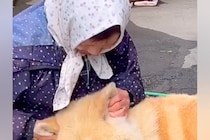 おばあちゃんの膝枕に吸い寄せられる秋田犬→撫でられて、うっとりと…赤ちゃんのような『尊い光景』が24万再生「愛感じる」「本当に幸せそう」