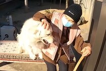 1週間寝たきりだったおばあちゃん→久々に『大型犬』と再会した結果…愛にあふれた光景に感動「泣ける」「本当に嬉しそう」「大好きなんだね」