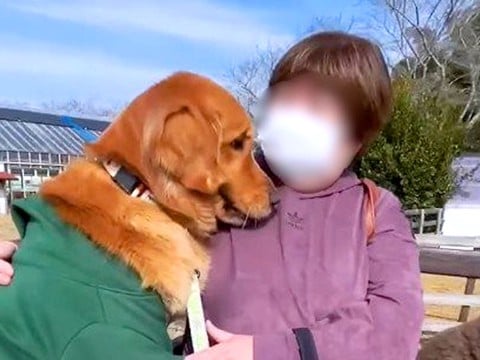 牧場で『トロッコ列車』に乗った大型犬→『楽しんでくれるかな』と思ったら、お母さんに…まさかの光景が39万再生「怖かったねw」「愛おしい」