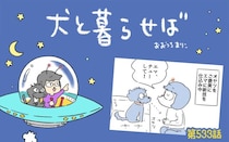 犬と暮らせば【第533話】「キッスは目にしないで」