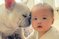 『赤ちゃんの匂い』が大好きな犬→クンクン嗅いでいたら、やめるタイミングを見失って…尊い光景が232万再生「幸せ空間」「心が浄化される」