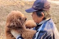 いつも犬と遊んでくれたおじさん→『定年退職でもう会えない』と告げられ…涙あふれる『ふたりの思い出』が20万再生「泣いた」「互いに寂しい」