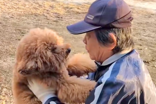 いつも犬と遊んでくれたおじさん→『定年退職でもう会えない』と告げられ…涙あふれる『ふたりの思い出』が20万再生「泣いた」「互いに寂しい」
