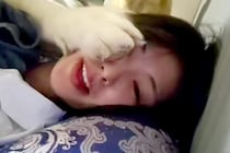 帰宅して真っ先に『猫を撫でた』結果→超大型犬が嫉妬して…自分の大きさを理解していない『ヤキモチ』が53万再生「思ったより本気で笑うｗｗ」