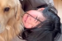 犬に甘噛みされてしまった女の子→びっくりして号泣していると、大型犬が…包容力がありすぎる光景が58万再生「優しい子」「最高の友達」と絶賛