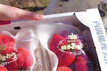 犬が『大好物のいちご』を見た結果→絶対に無視できない『反則すぎる表情とおてて』に17万いいね「アザラシで可愛い」「素晴らしい」と悶絶