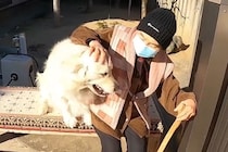 1週間寝たきりだったおばあちゃん→久々に『大型犬』と再会した結果…愛にあふれた光景に感動「泣ける」「本当に嬉しそう」「大好きなんだね」