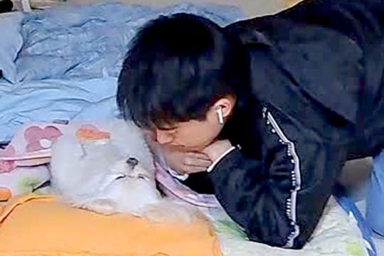 バイト前の息子が『犬を寝かしつけた』結果→家を出る時間が迫っても…愛情に溢れた光景が338万再生「離れたくない可愛さ」「どこも行けんw」