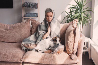 膝の間にジャックラッセルテリア