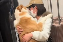 卒業旅行中のお姉ちゃんを毎日玄関で待っていた犬→５日ぶりに再会した結果…想像以上の『熱烈大歓迎』に感動「嬉しいの最上級」「体当たりの愛」
