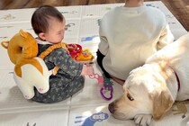 男の子に構ってもらえず拗ねる大型犬に、赤ちゃんが気付いてくれて…種族の壁を超えた『尊いやり取り』に1万いいね「幸せでお腹いっぱい…」