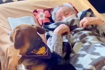 おじいちゃんが大好きすぎる犬→家に遊びに行くと、真っ先に…愛おしすぎる『お互いの反応』が27万再生「じぃじニッコニコ」「どっちも可愛い」