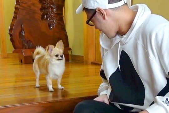 『じゃあ、行ってくるで』パパが外出→犬が玄関で待ち続けて…あまりにも健気な『お留守番の様子』に反響「愛感じる」「文句言ってて可愛いｗ」