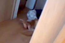 息子を叱った結果、廊下に逃げて『大型犬』に…思わず許してしまう『まさかの光景』が108万再生「大きな存在」「安心出来る場所なんだね」