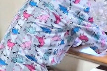 『子どもがパジャマで窓の外を見てる』と思ったら…脳がバグる『まさかの正体』に283万表示の大反響「人間にしか見えないｗ」「すごい迫力」