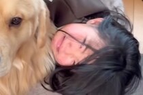 犬に甘噛みされてしまった女の子→びっくりして号泣していると、大型犬が…包容力がありすぎる光景が58万再生「優しい子」「最高の友達」と絶賛