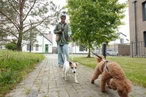 犬との散歩中『歩きスマホ』が絶対NGな理由3選　愛犬の命を守るために必ず知っておくべきことまで